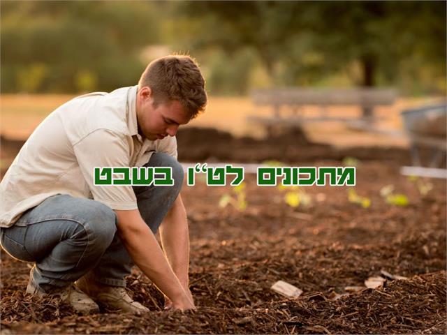 מתכונים לטו בשבט טעימים וקלים להכנה