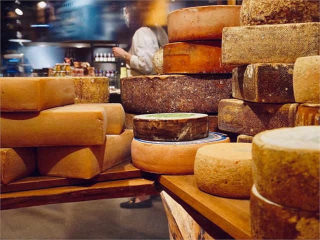 מתכוני גבינות מטריפות