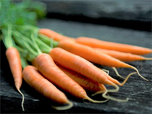 מתכונים נהדרים עם גזר