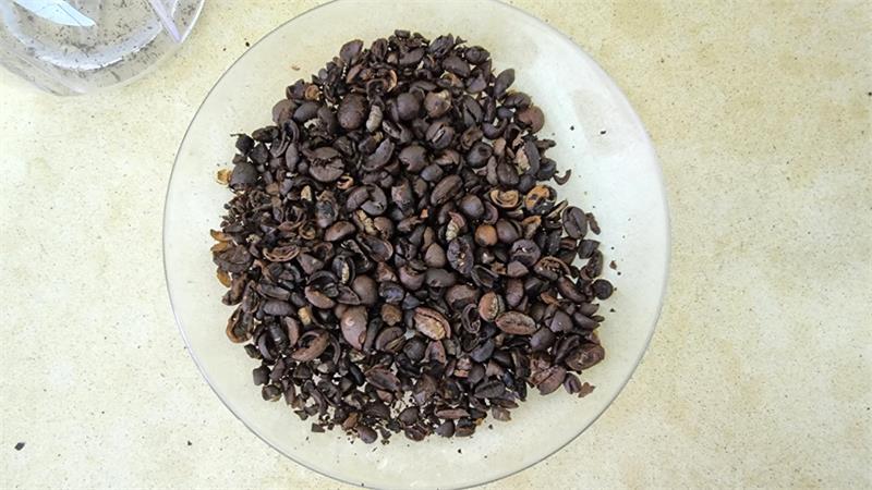 פולי קפה מסוכרים לקישוט עוגה פאי טארט או קאפקייקס 