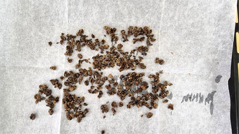 פולי קפה מסוכרים לקישוט עוגה פאי טארט או קאפקייקס 