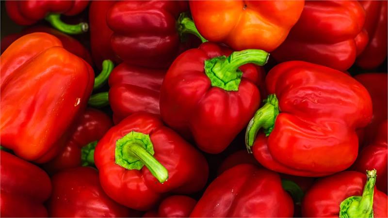 מטבל פלפל אדום משגע