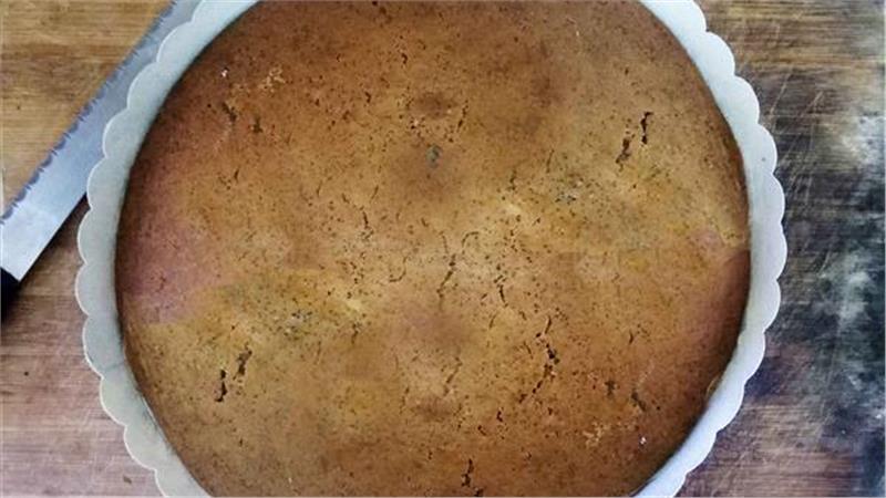 עוגת פרג מושלמת, עוגת פרג לחפור בה