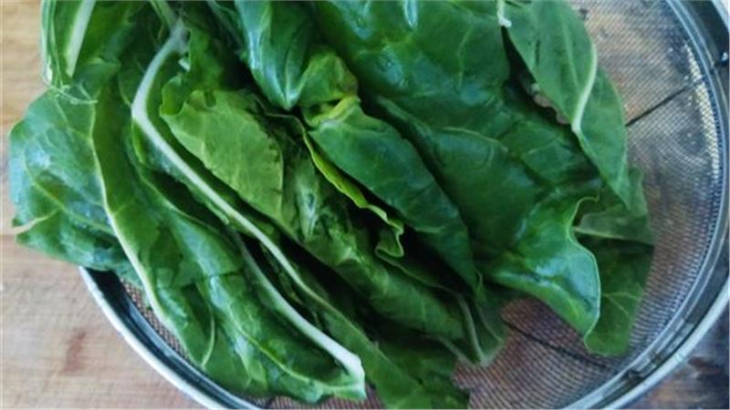 סלט עלי מנגולד מבושלים