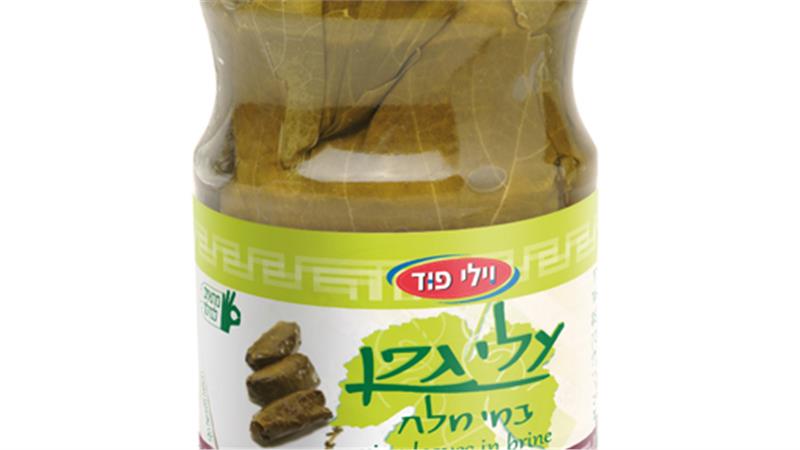 ממרח עלי גפן צפון אפריקאי