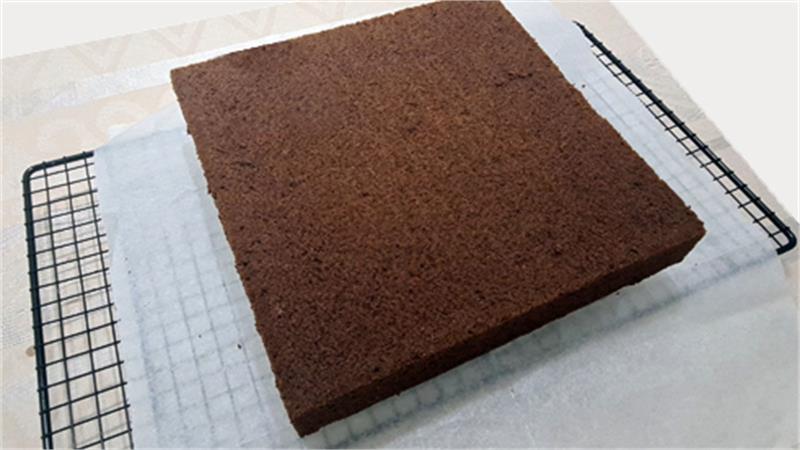 עוגת דינוזאור אישית ליום הולדת, עוגה אישית של בראוניז פארק היורה