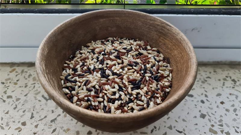 איך מכינים אורז פרא