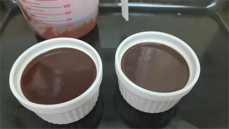 פודינג שוקולד לשניים