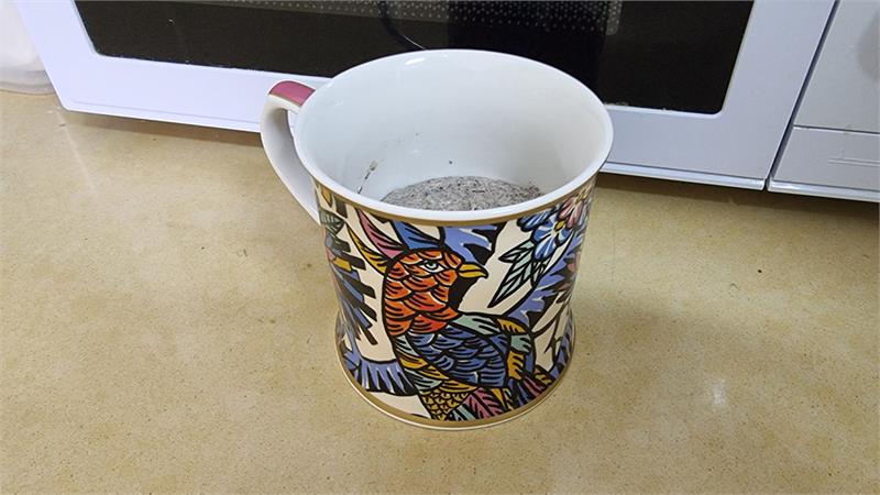 עוגת מאג פרג, עוגת פרג במאג הכי טעימה בפחות מ-5 דקות