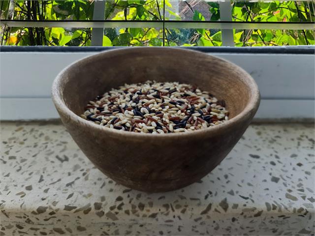 איך מכינים אורז פרא